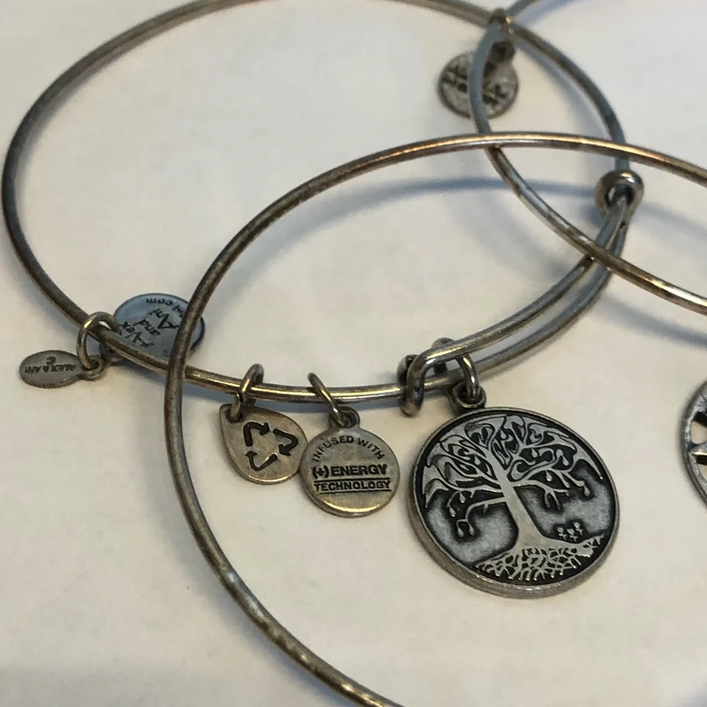 Alex and Ani Gold and Silver Charm Bangle Set